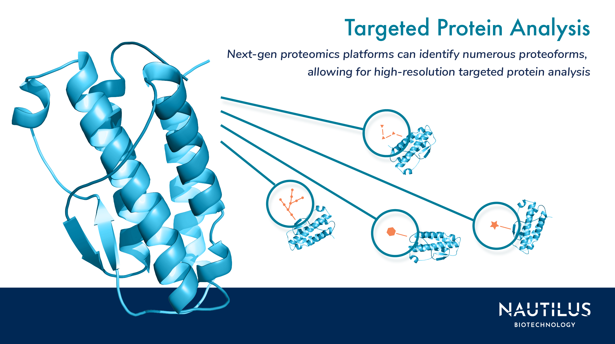 How Targeted Proteomics And Targeted Protein Analyses Are Changing