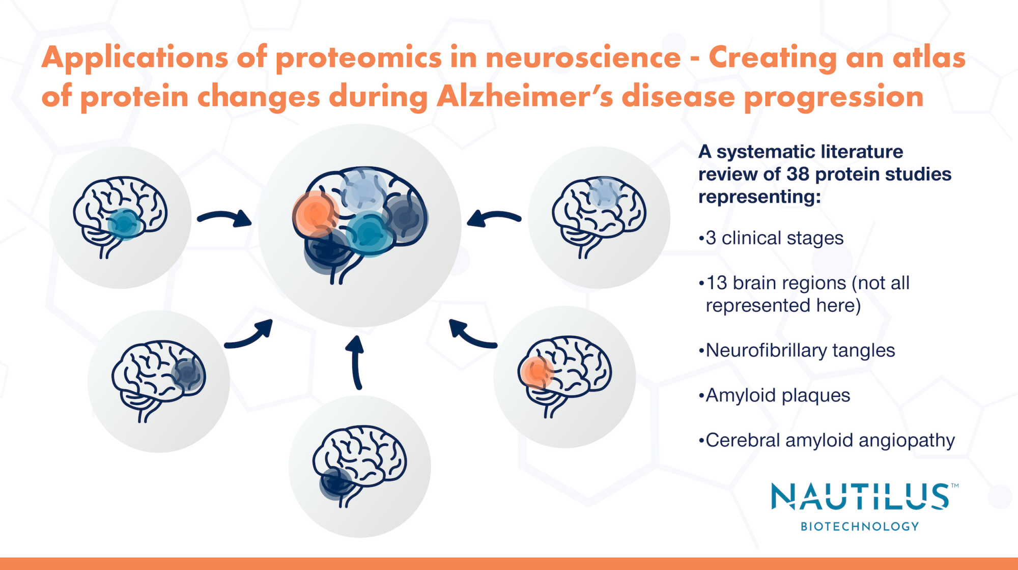 Applications Of Proteomics In Neuroscience Creating An Atlas Of