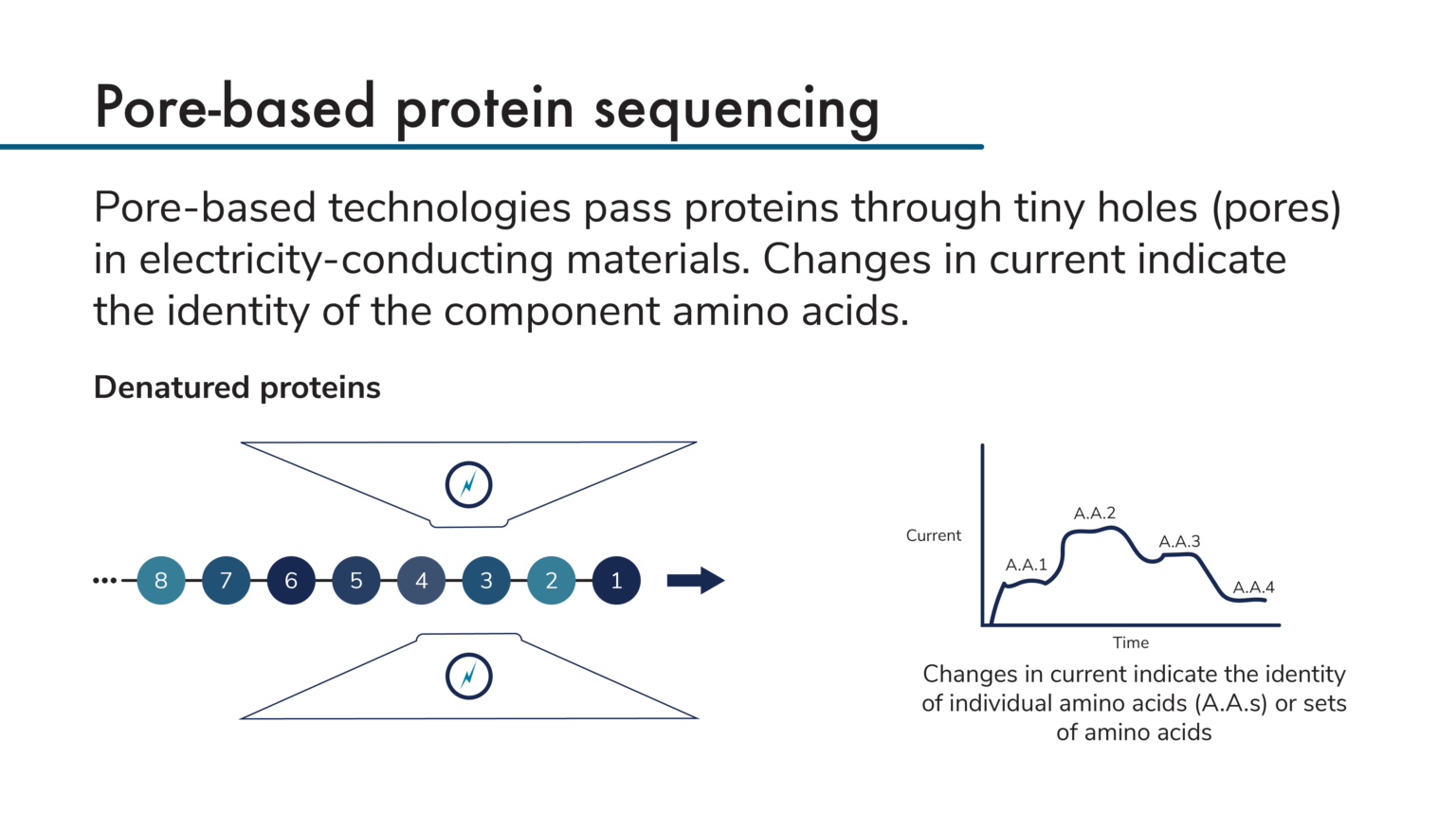 Next Generation Proteomics Technologies Next Generation Protein Sequencing ~ Nautilus