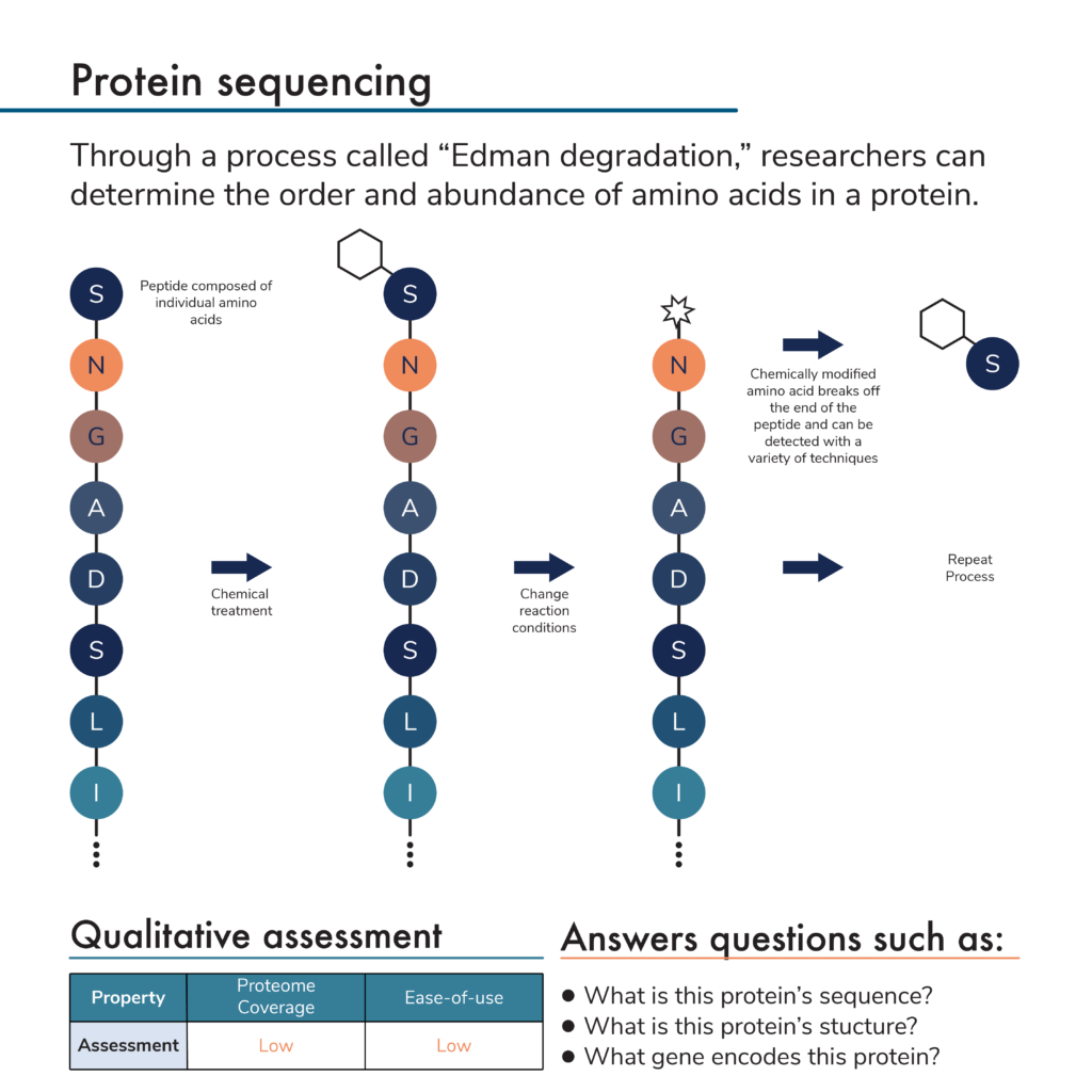 Traditional Protein Analysis Methods Protein Sequencing Nautilus 