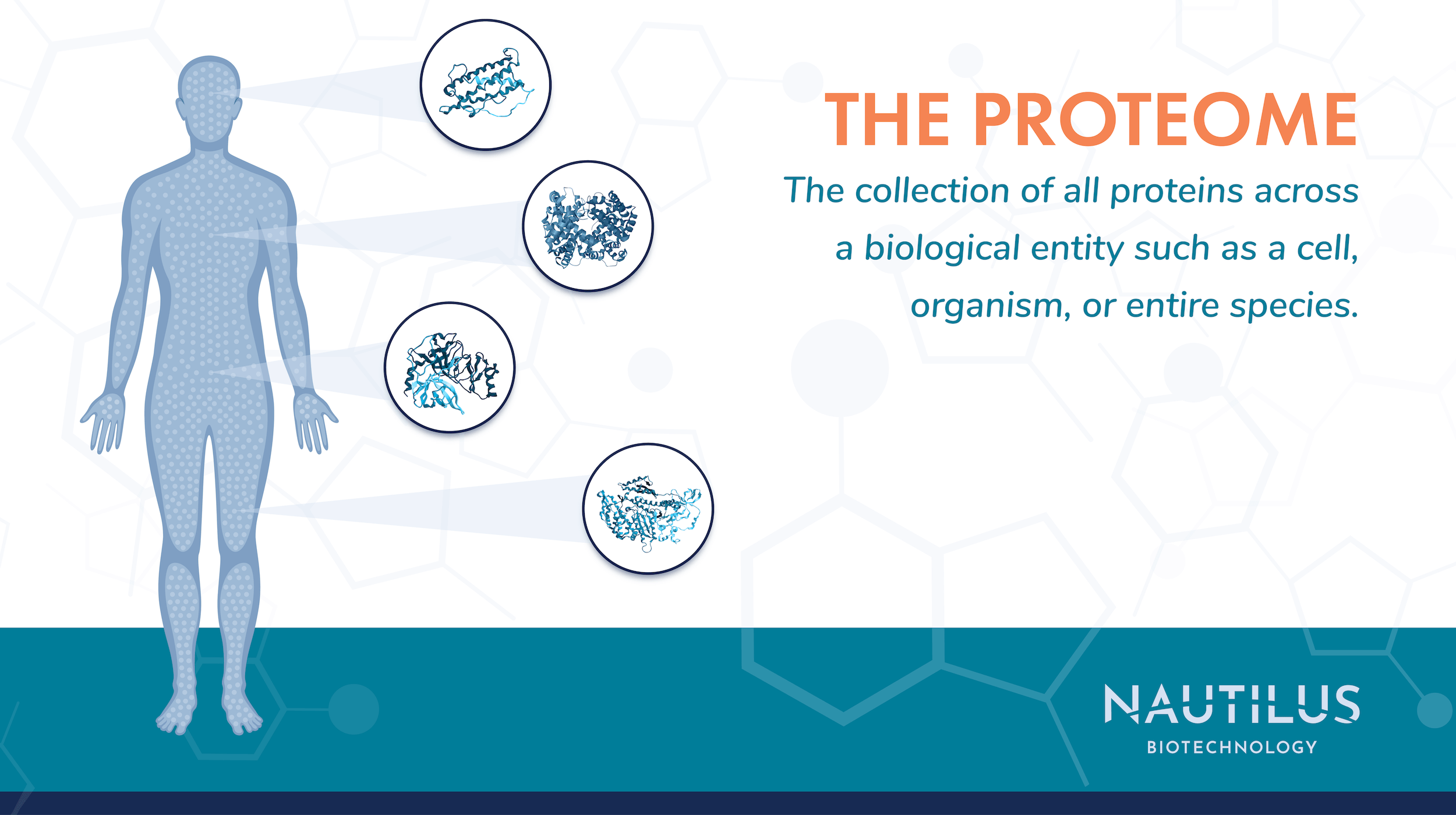 What Is The Proteome ~ Nautilus Biotechnology