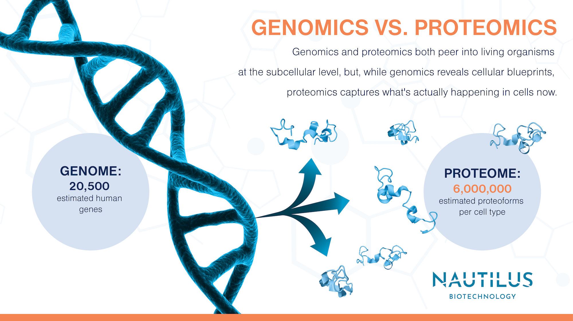 Genomics Vs Proteomics Two Complementary Perspectives On Life