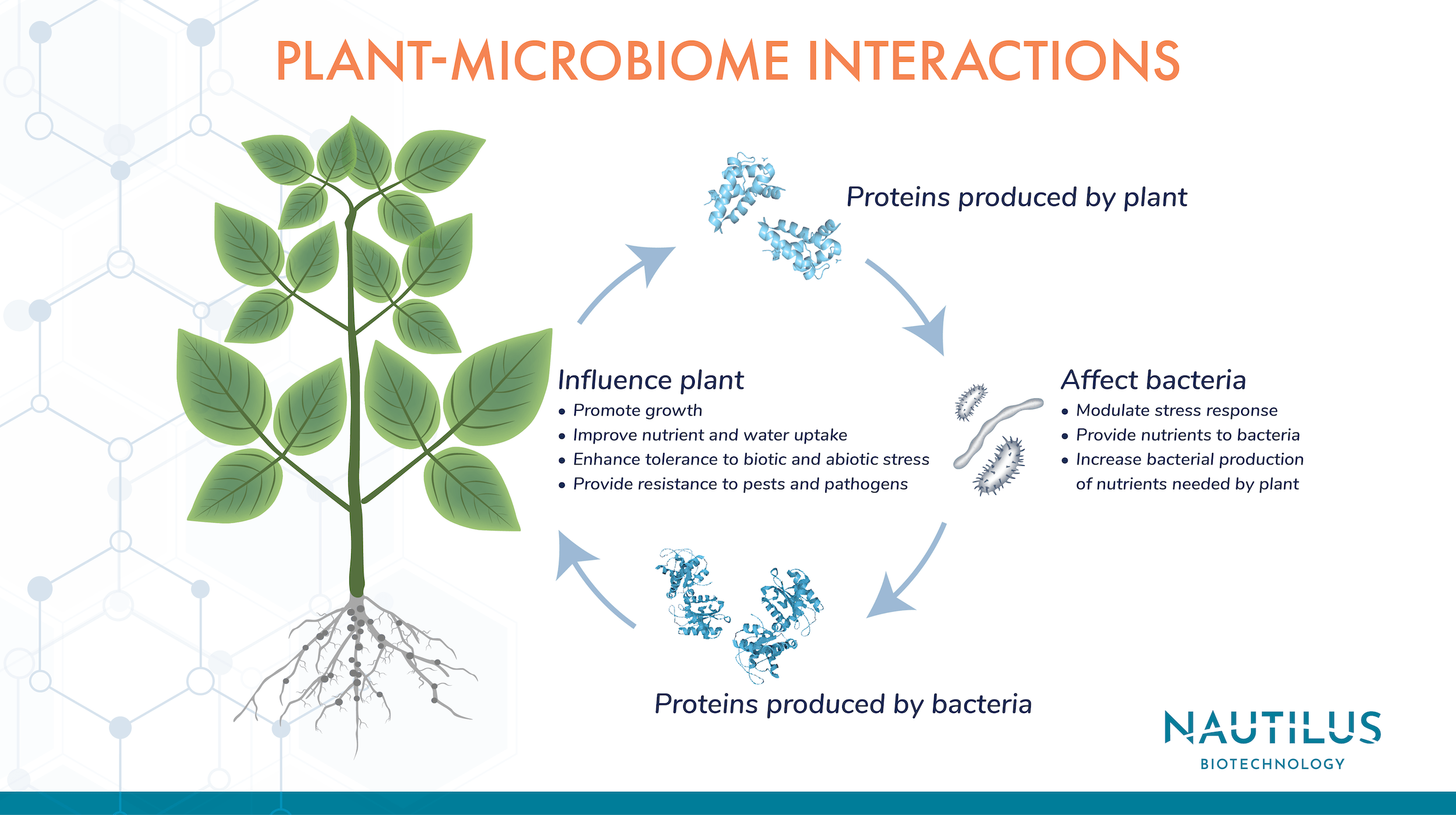 Plant evolution driven by interactions with symbiotic and pathogenic  microbes