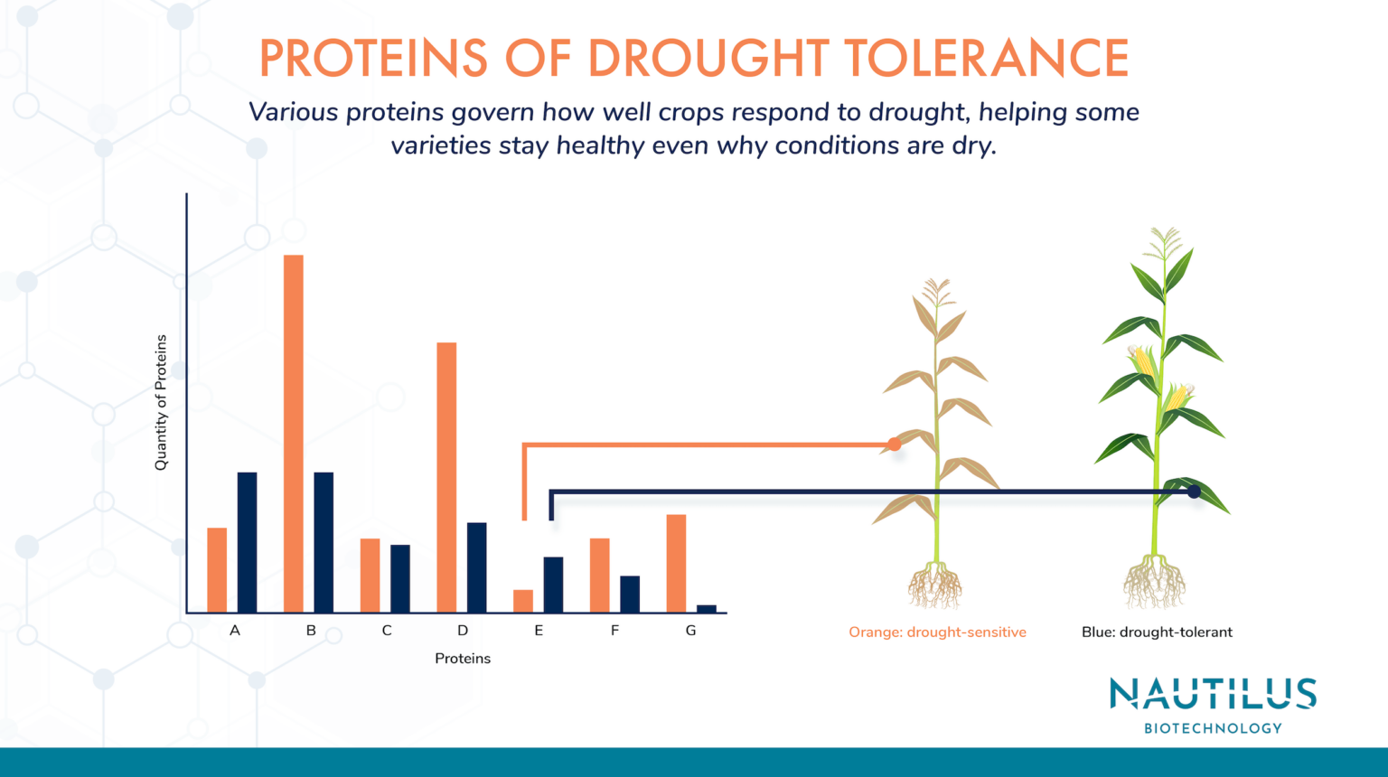 Applications Of Proteomics In Agriculture - Plant Stress Tolerance ...