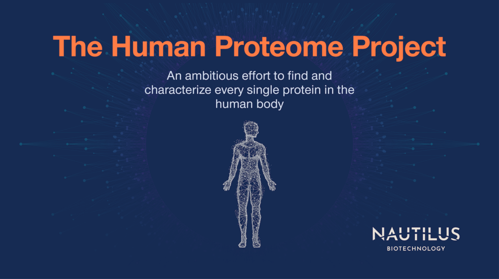 Integrated protein network forming a human body