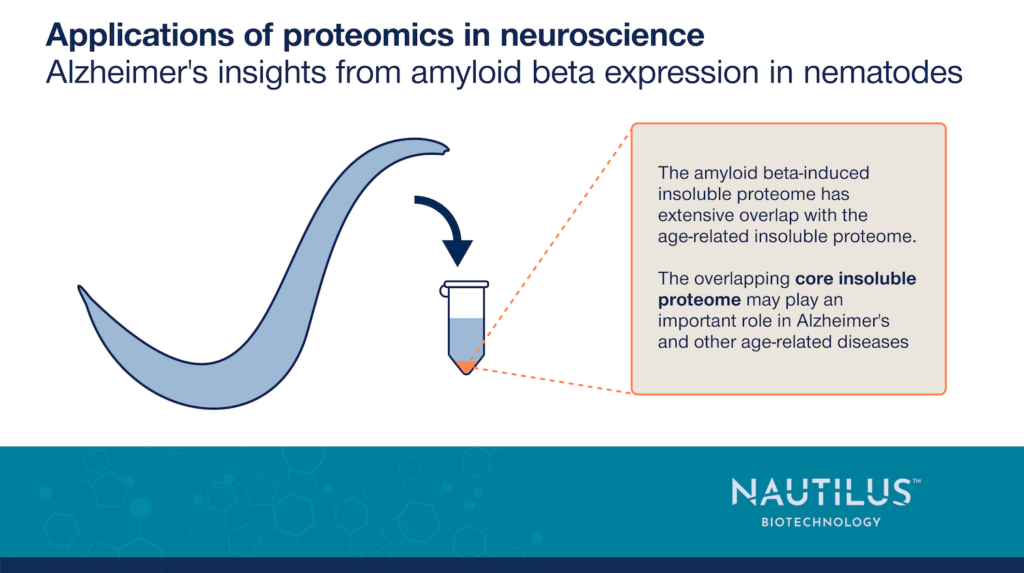 Proteins being extracted from a C. elegans model of beta amyloid over expression