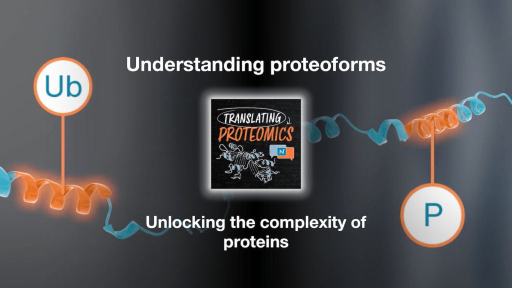 A protein that has been ubiquitylated and phosphorylated